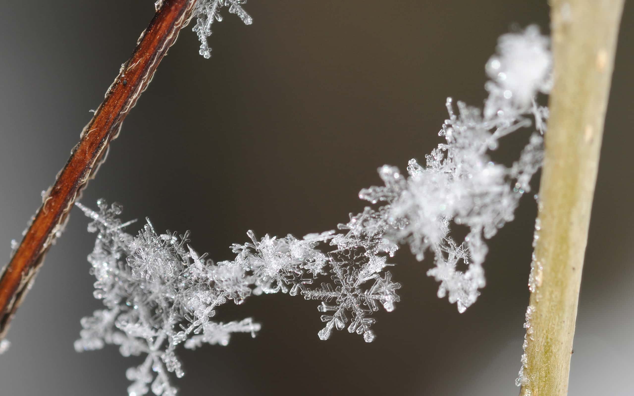 18 Amazing Facts About Snowflakes and Why They're So Unique