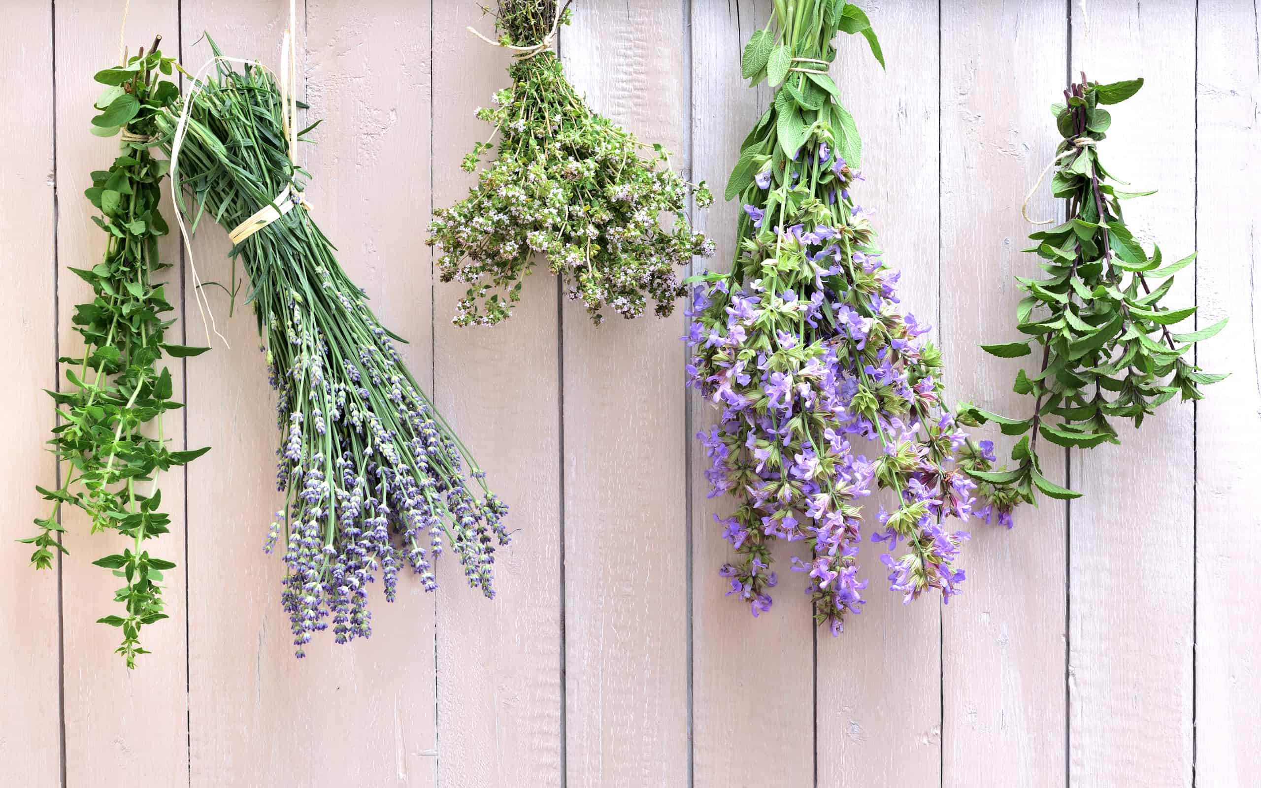 13 Plants You Can Use to Make a Stunning Winter Wreath