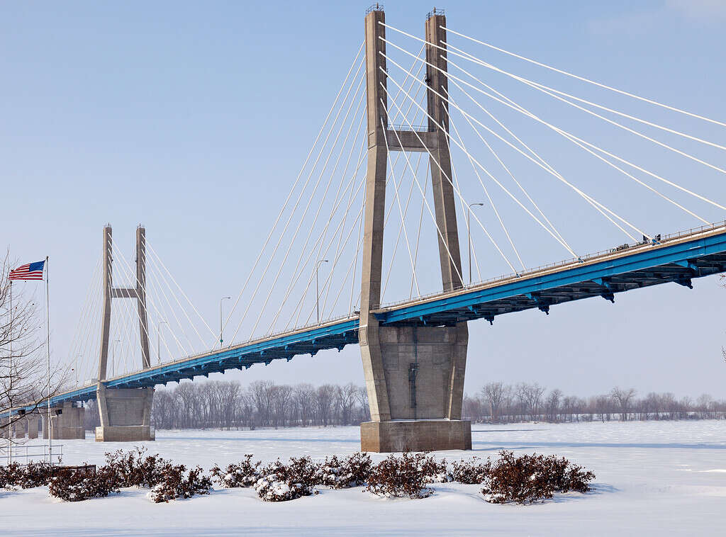 The 7 Best Places and Times to See Bald Eagles in Illinois