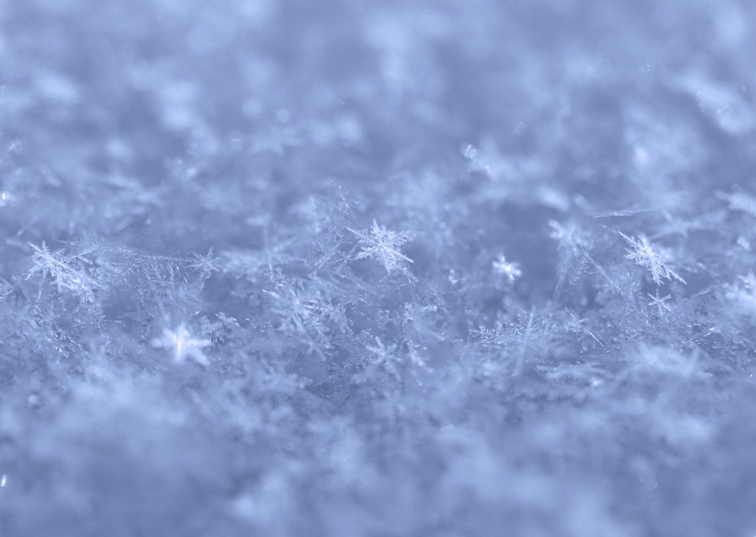 18 Amazing Facts About Snowflakes and Why They're So Unique