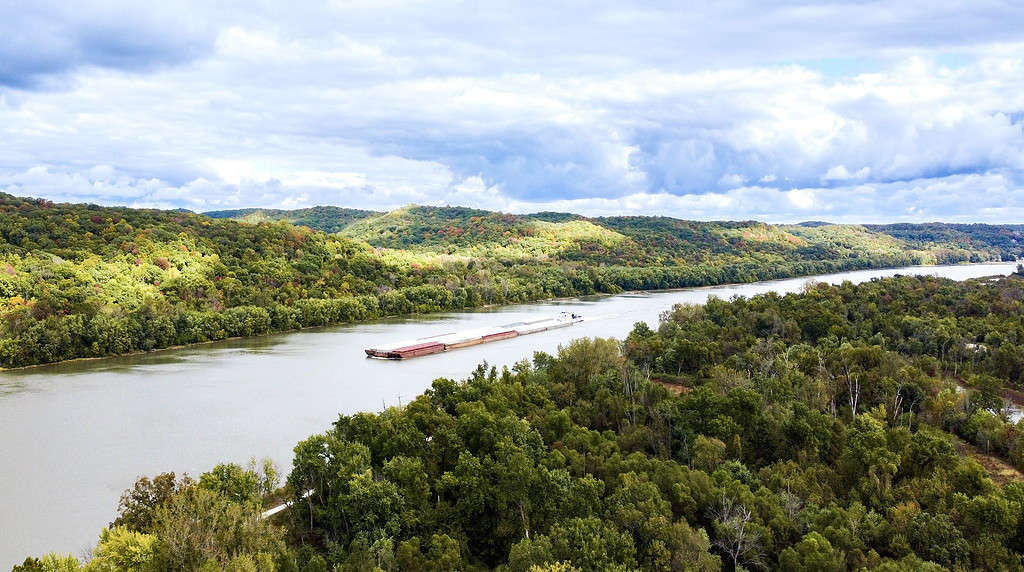 The 7 Best Places and Times to See Bald Eagles in Illinois