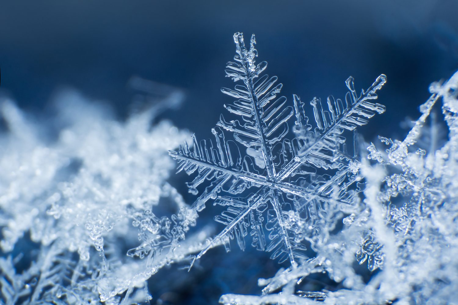 18 Amazing Facts About Snowflakes and Why They're So Unique