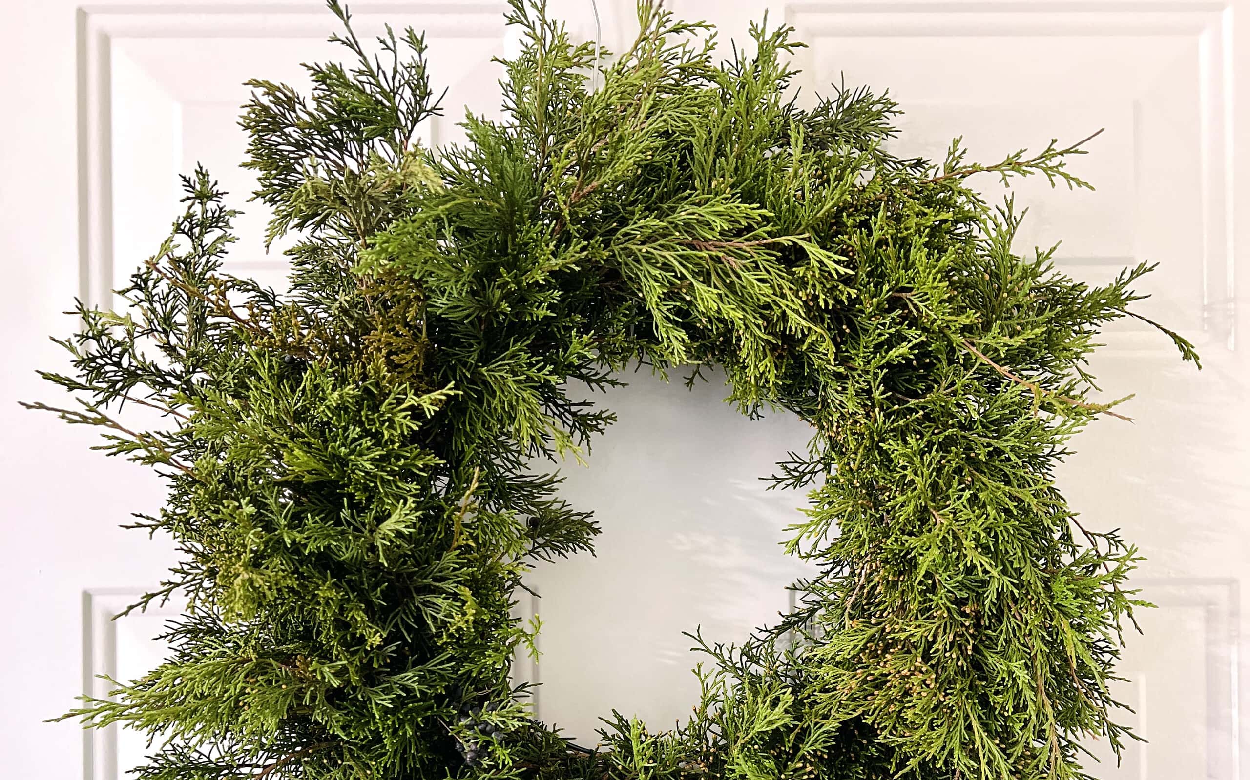 13 Plants You Can Use to Make a Stunning Winter Wreath