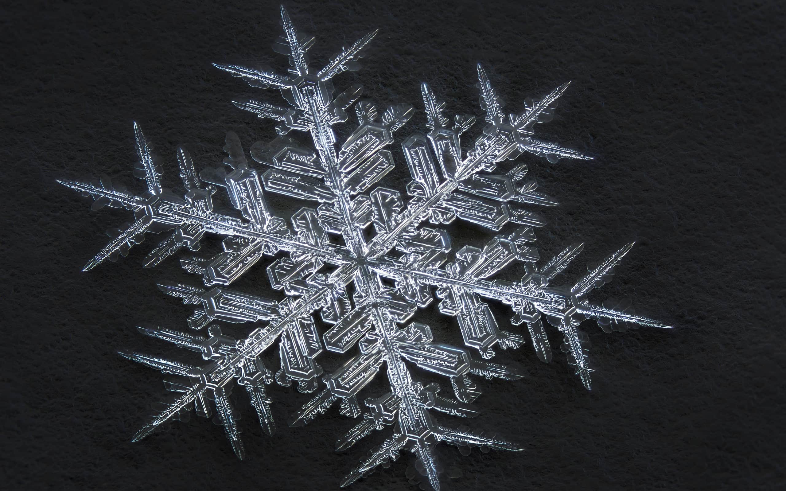 18 Amazing Facts About Snowflakes and Why They're So Unique