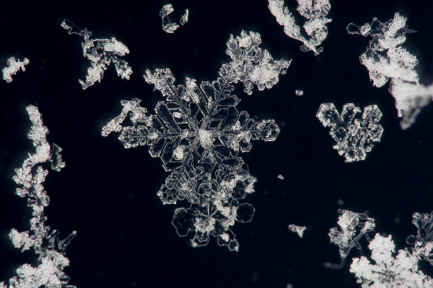 18 Amazing Facts About Snowflakes and Why They're So Unique