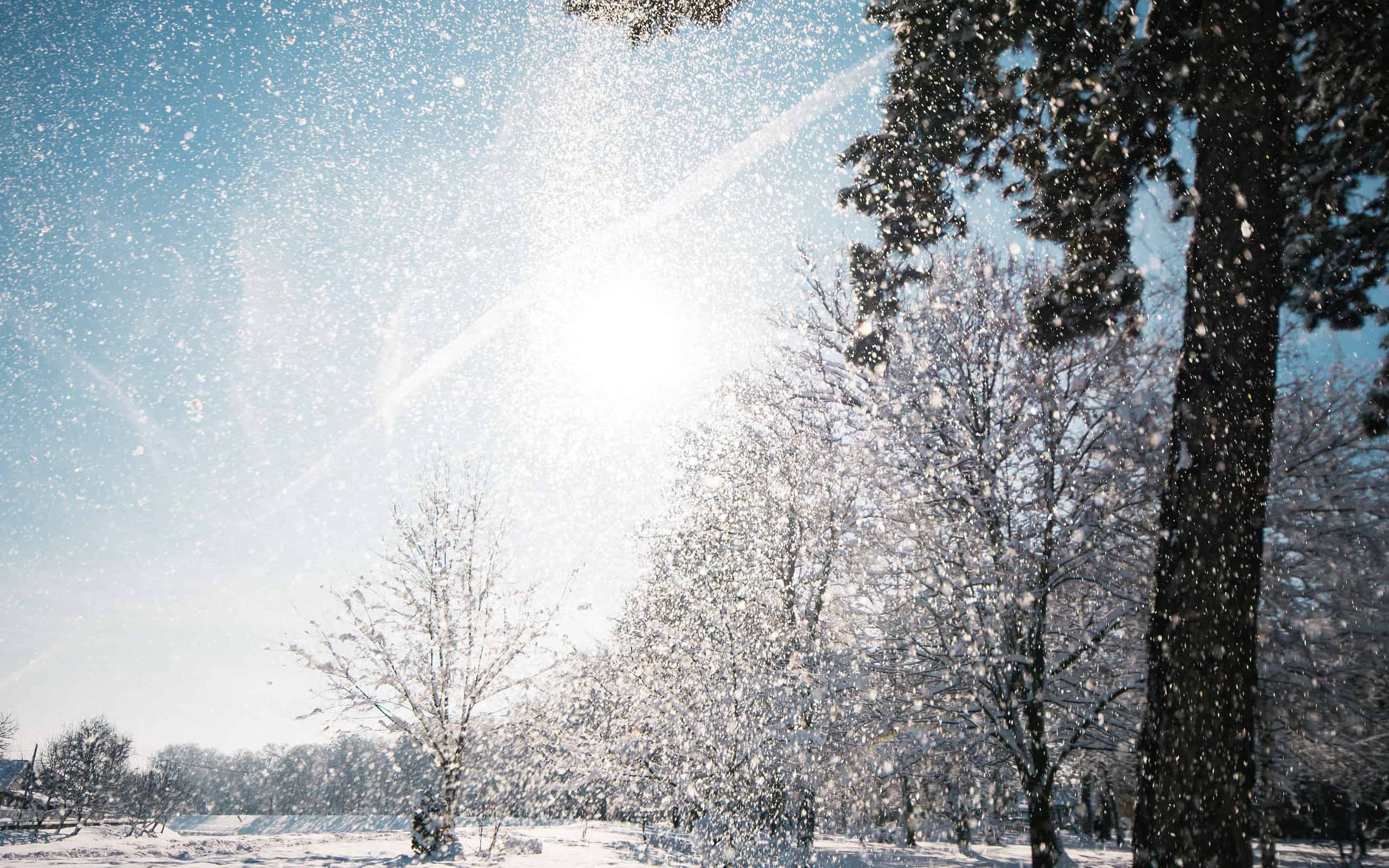 18 Amazing Facts About Snowflakes and Why They're So Unique