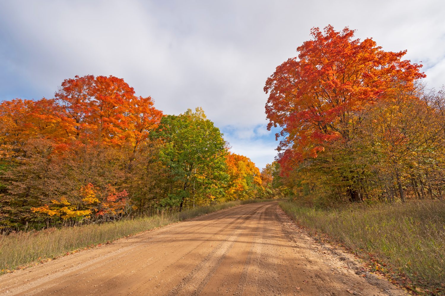 The 4 Coldest Places in Michigan Will Send Shivers Down Your Spine