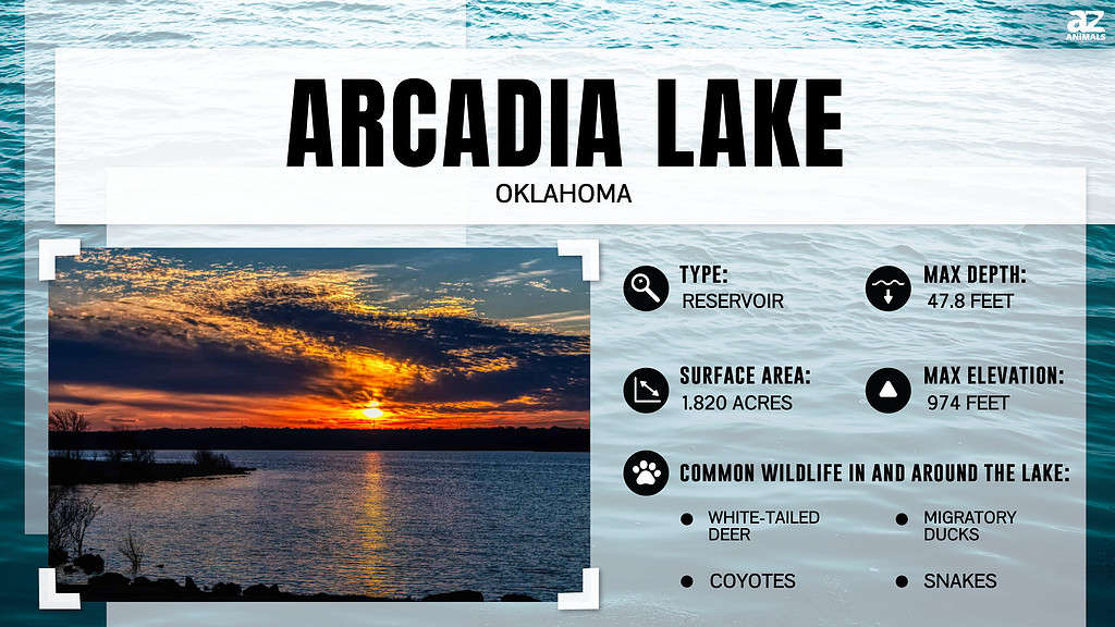 How Deep is Arcadia Lake and What Can Visitors Do There?