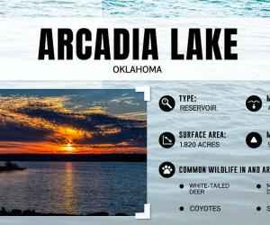 How Deep is Arcadia Lake and What Can Visitors Do There?