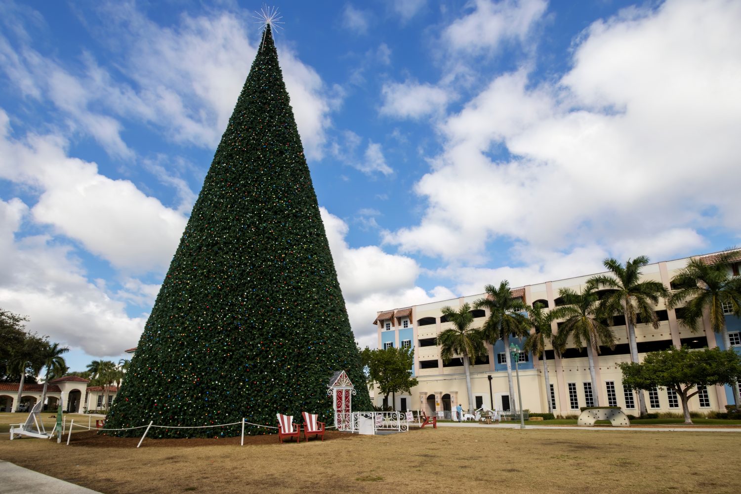 The 7 Best Christmas Tree Lighting Ceremonies in the U.S