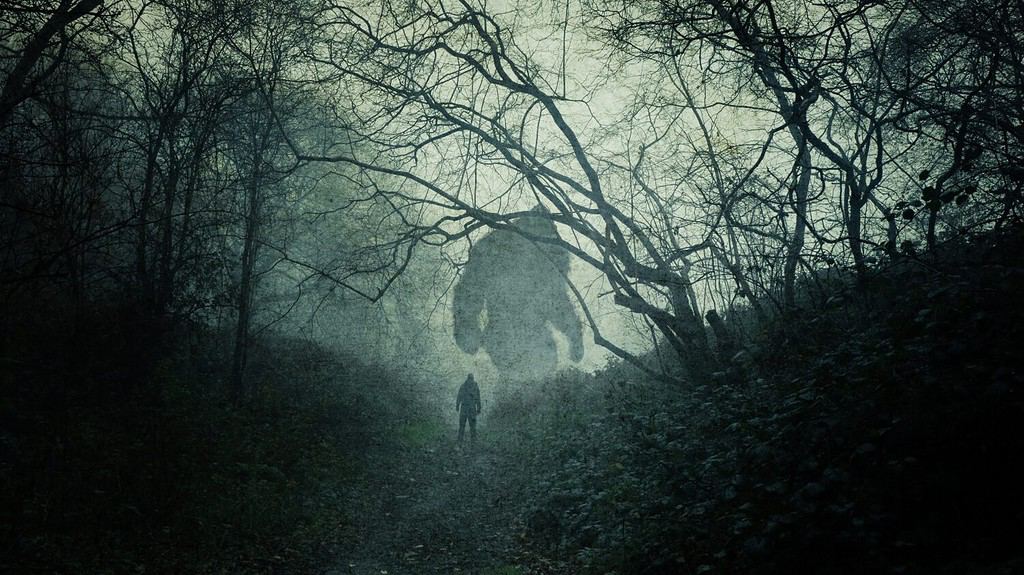 The 7 Most Legendary Texas Cryptids: Appearance, Behavior, and Location