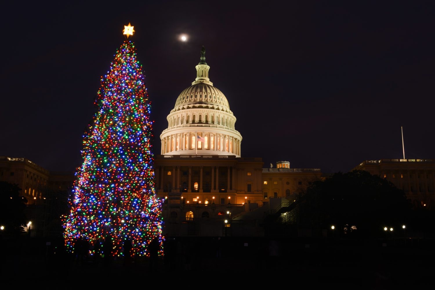 The 7 Best Christmas Tree Lighting Ceremonies in the U.S