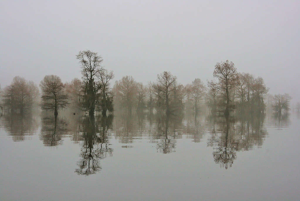 The 5 Coldest Places in Louisiana