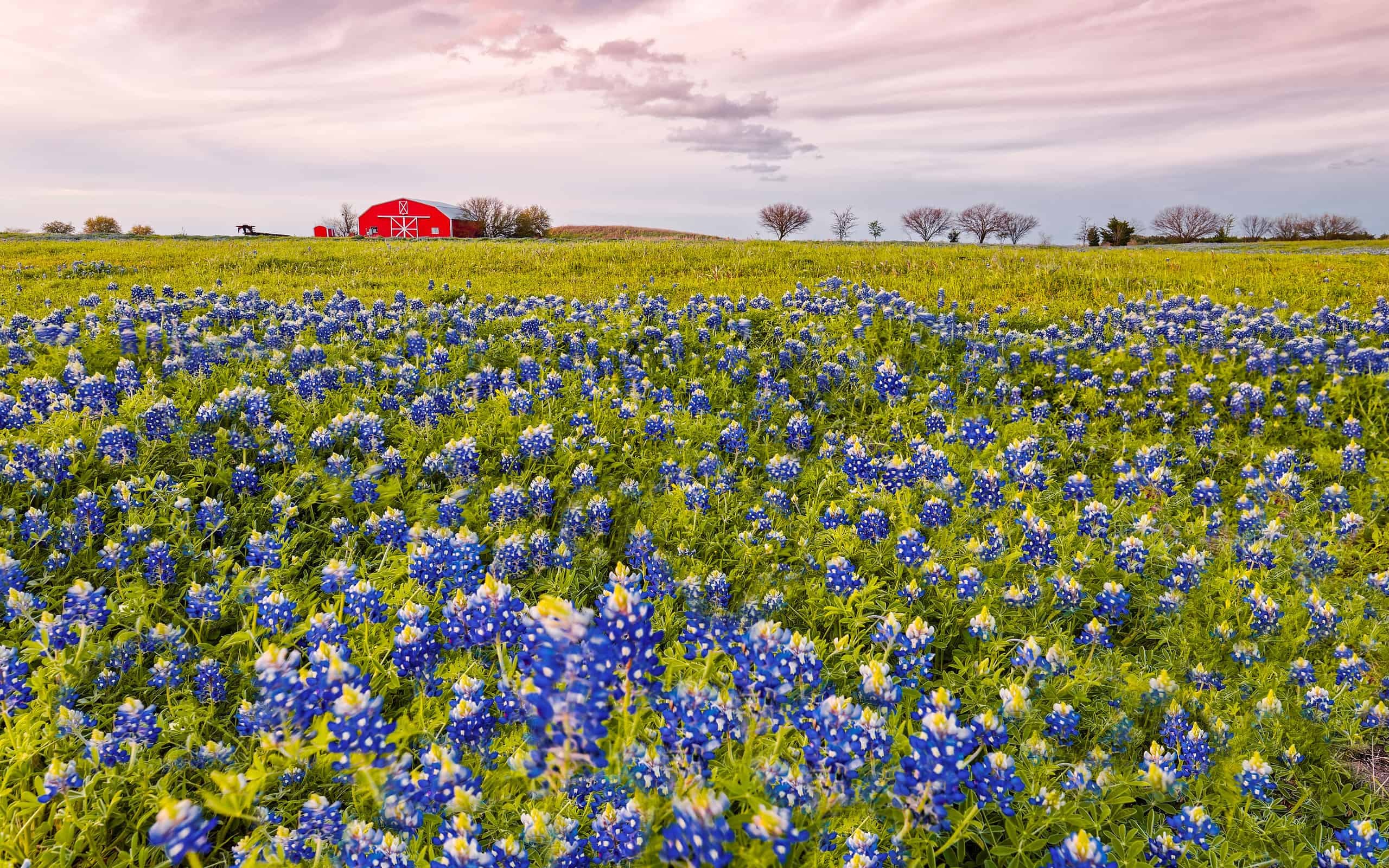 Everything's Bigger in Texas! The 9 Things That Are Bigger in Texas