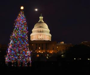 The 7 Best Christmas Tree Lighting Ceremonies in the U.S