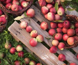 10 Unique Apple Varieties You May Not Know About