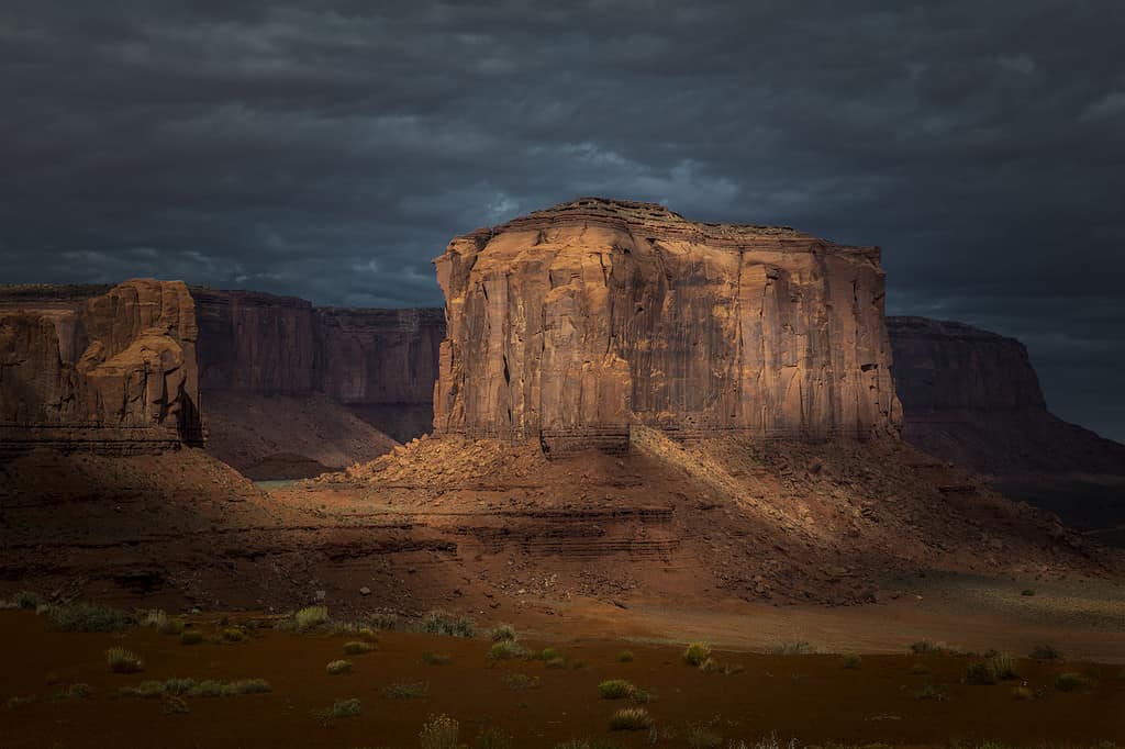 Discover the 4 States That Border New Mexico