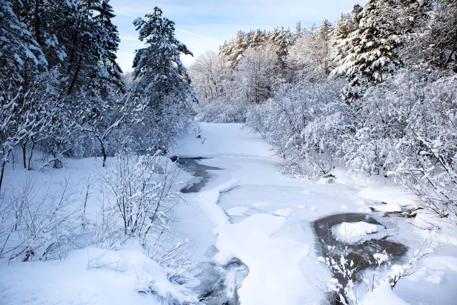 These Are the 10 States That Get the Most January Snow