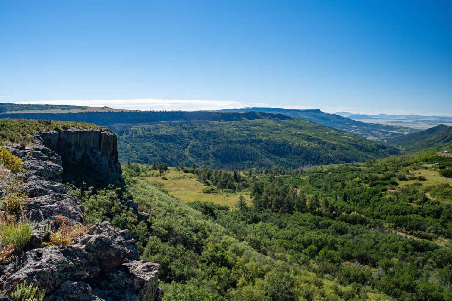 6 Places You're Most Likely to Encounter a Bear in New Mexico This Winter