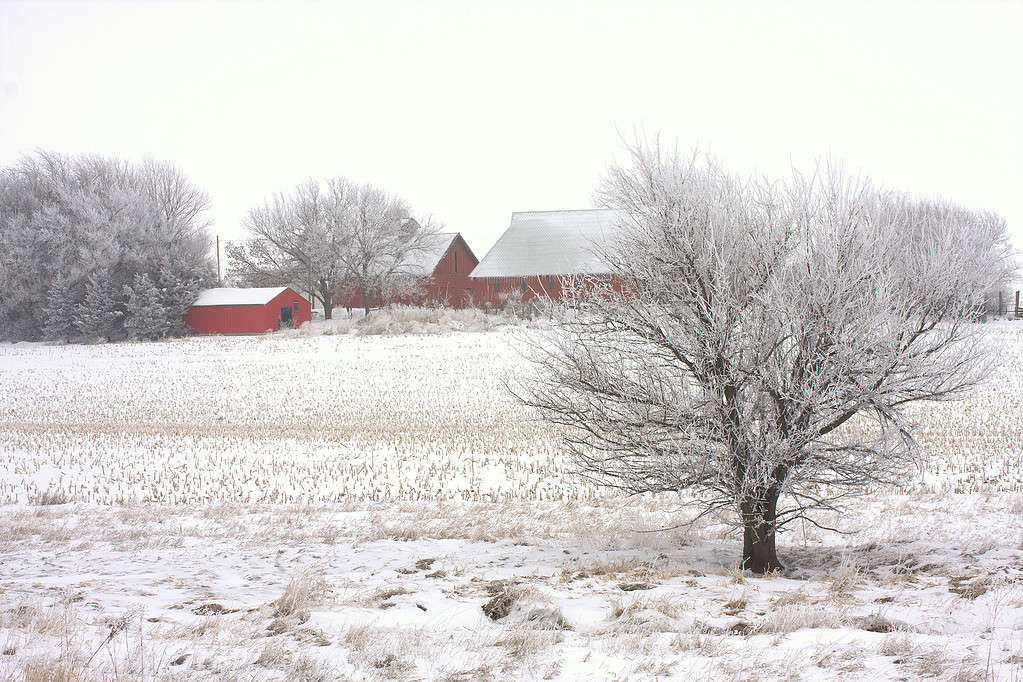 Discover the 6 Coldest Places in Iowa