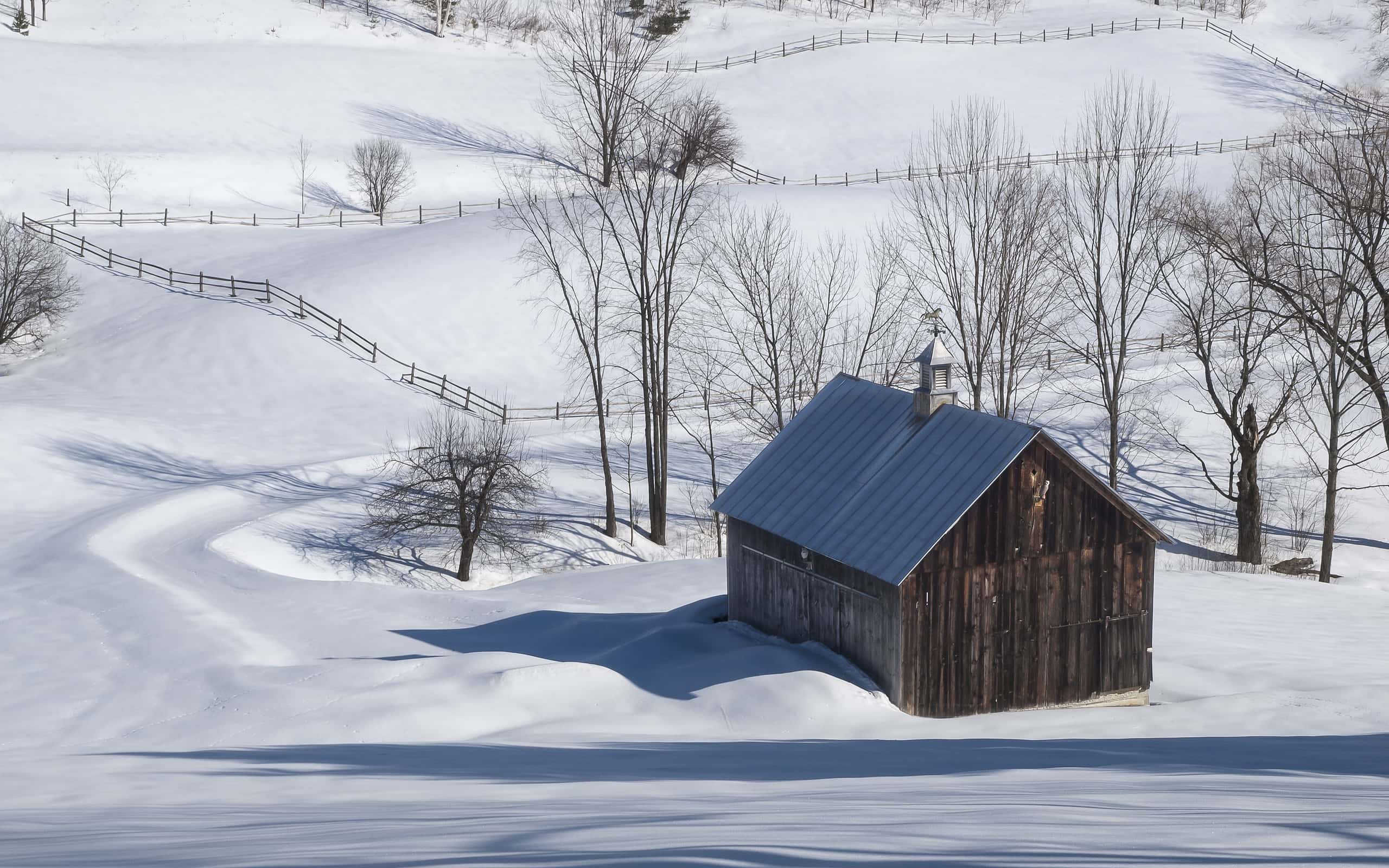 These Are the 10 States That Get the Most January Snow