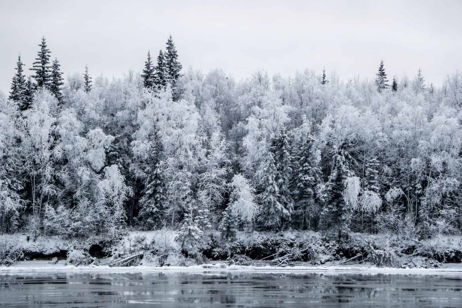 These Are the 10 States That Get the Most January Snow