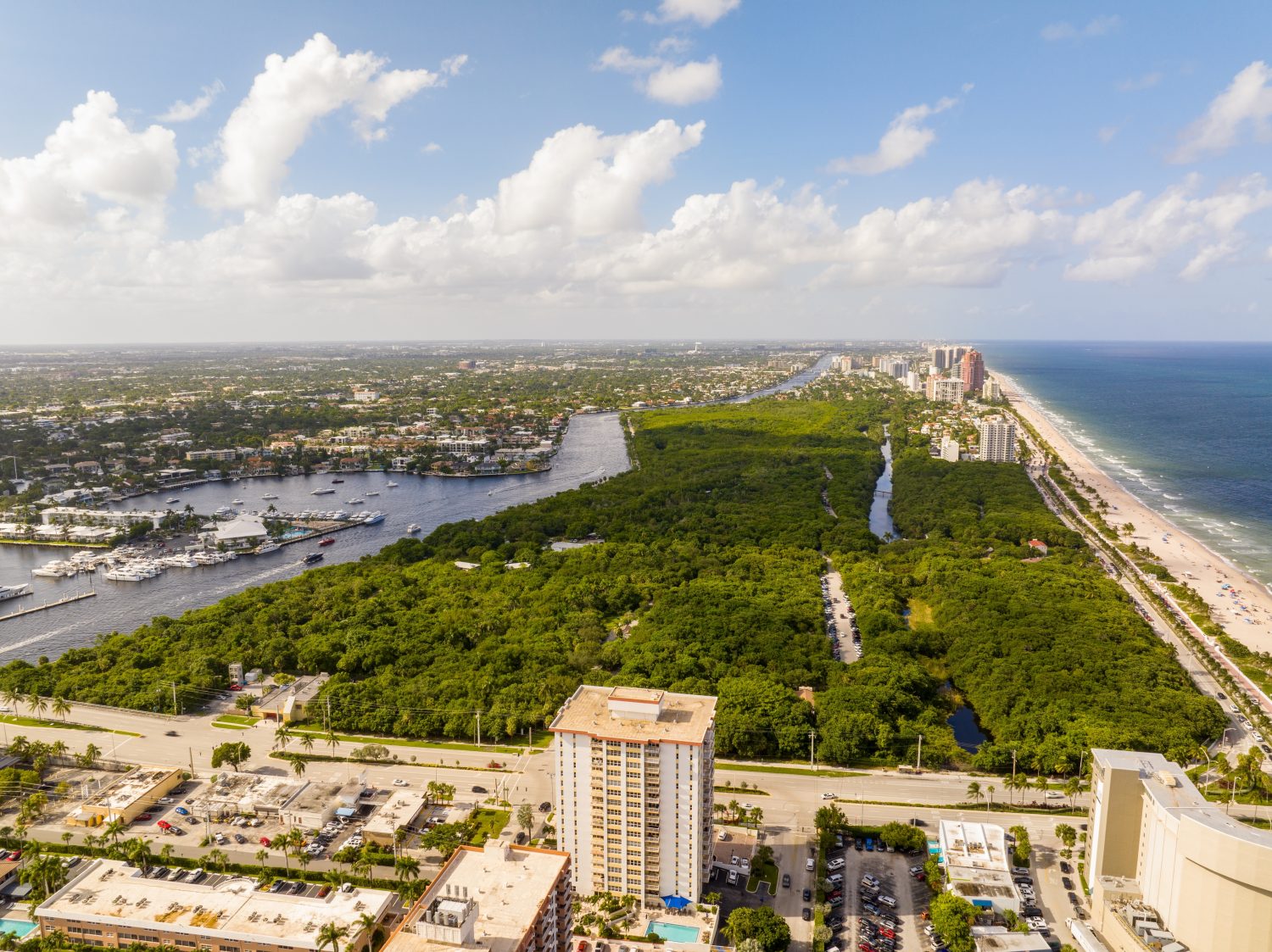 Alligators in Fort Lauderdale: 3 Spots You're Most Likely See Them