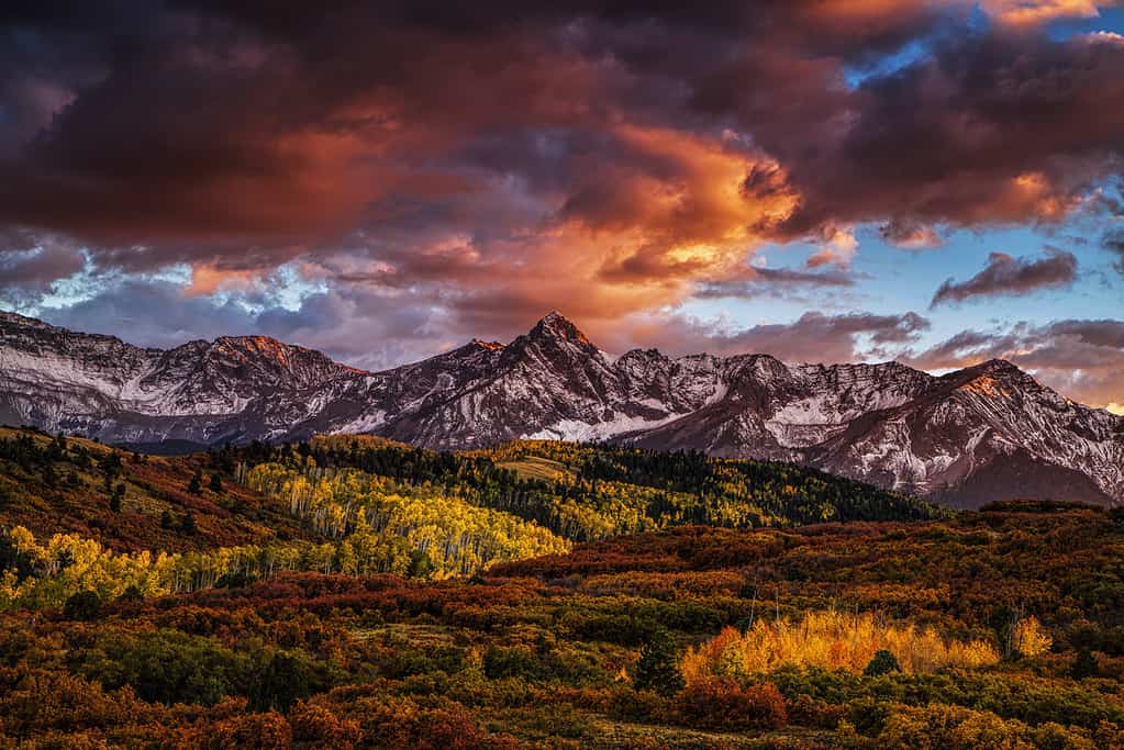 Discover the 4 States That Border New Mexico