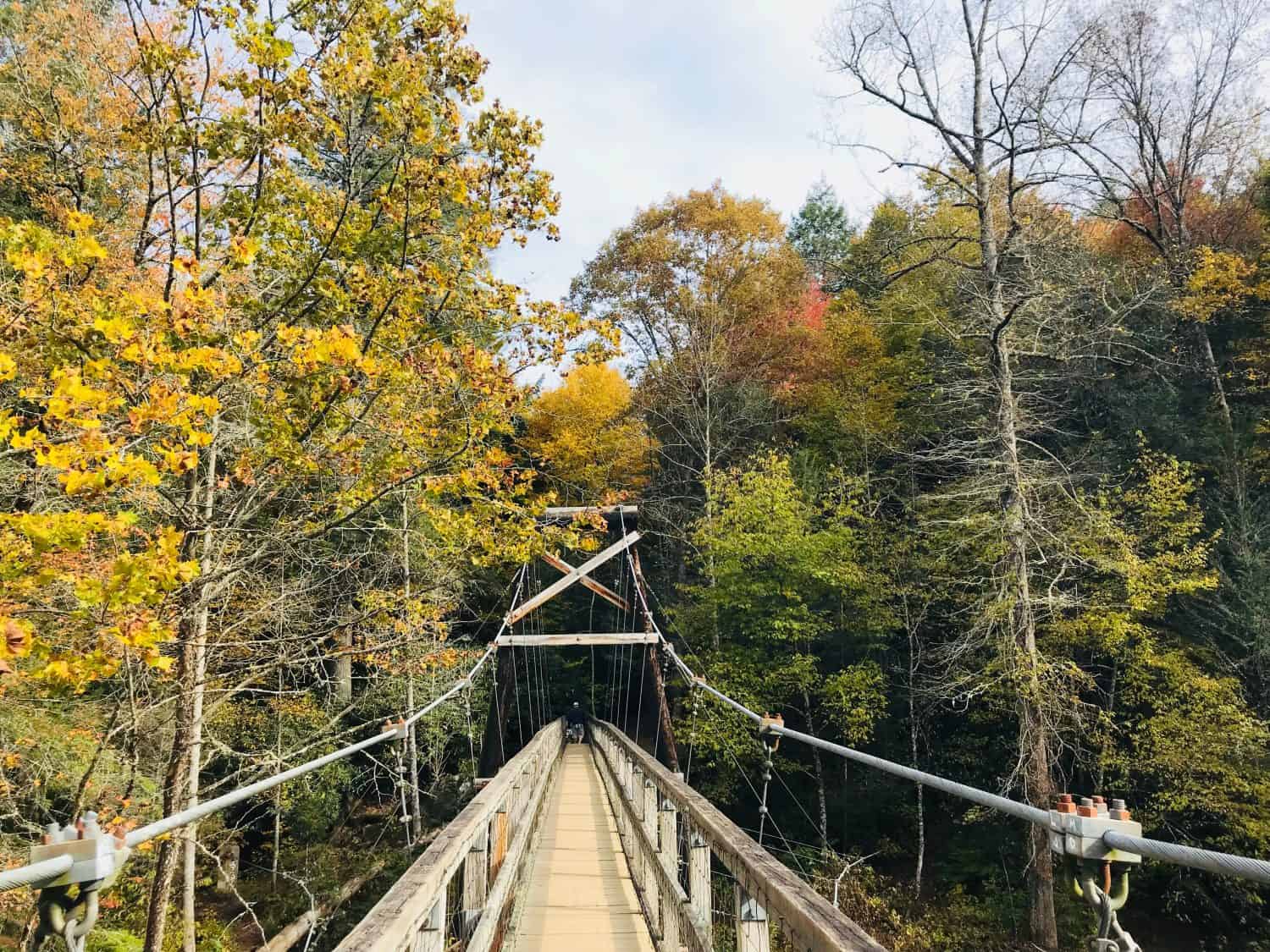 Discover the 4 Longest Bridges in Georgia