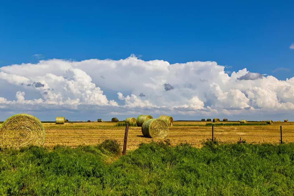 Discover the 4 States That Border New Mexico