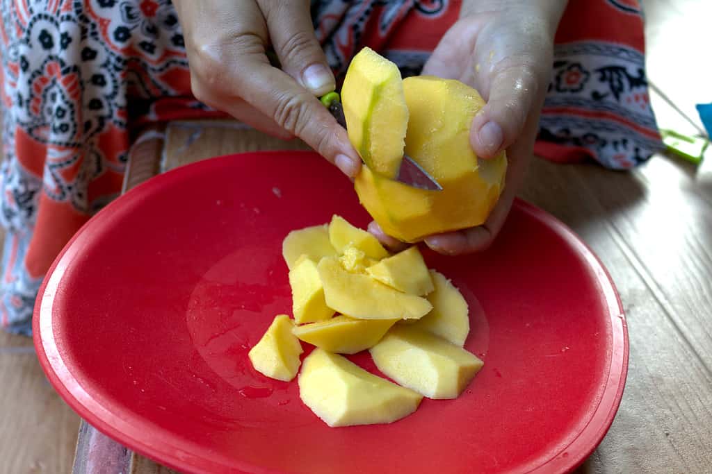 Yes, Rabbits Can Eat Mango! But Follow These 6 Tips