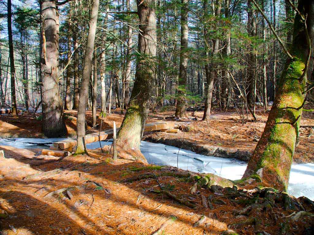 Discover the 7 Most Remote Spots in New Hampshire And How to Get There Safely