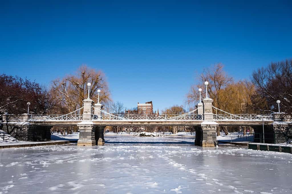 The Top 11 U.S. Capital Cities That Get the Most Snow