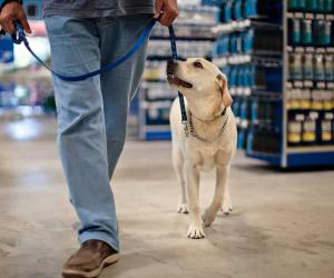 Are Dogs Allowed In Bass Pro Shops? 3 Important Rules to Know