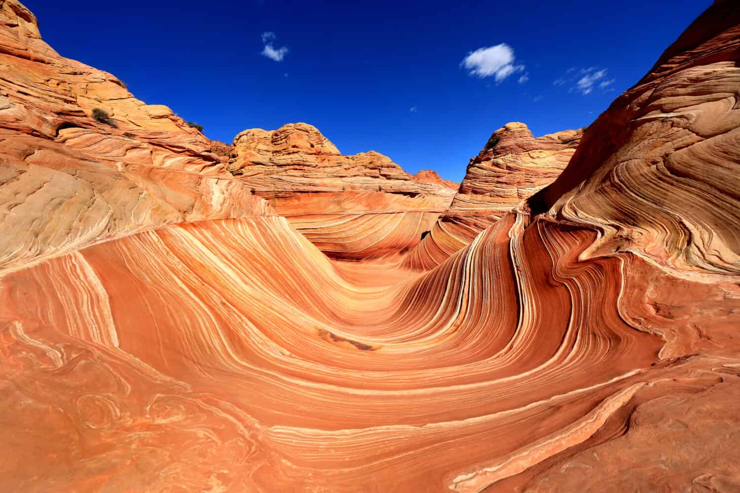 5 Amazing Sand Dunes in Arizona Everyone Should Visit At Least Once