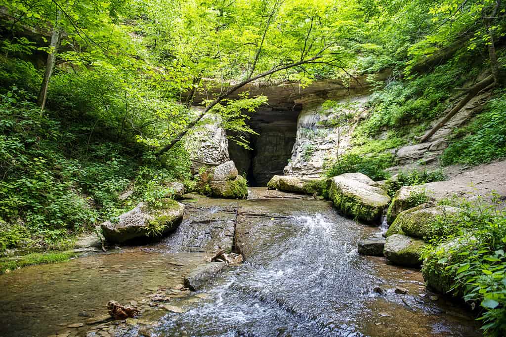 Discover 10 of Indiana's Most Beautiful and Iconic Hiking Trails