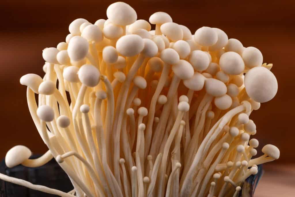 Enoki Mushrooms vs Shiitake Mushrooms