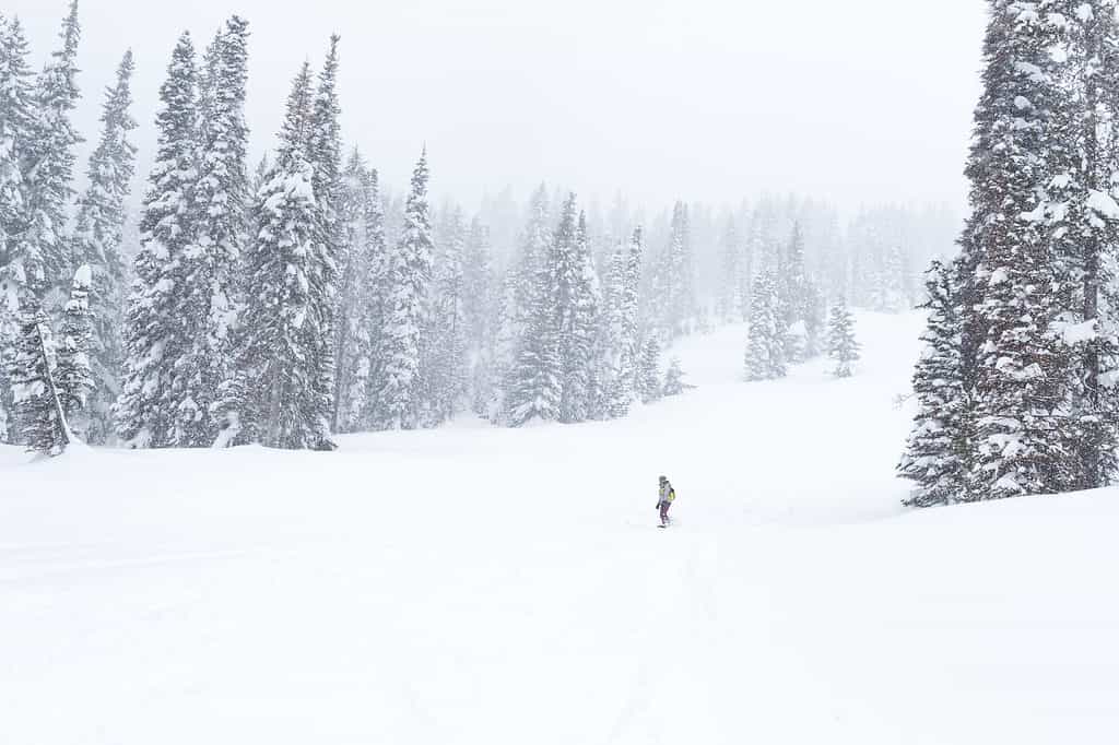 The 8 Best Reasons Idaho Is the Greatest Place to Ski in the U.S.