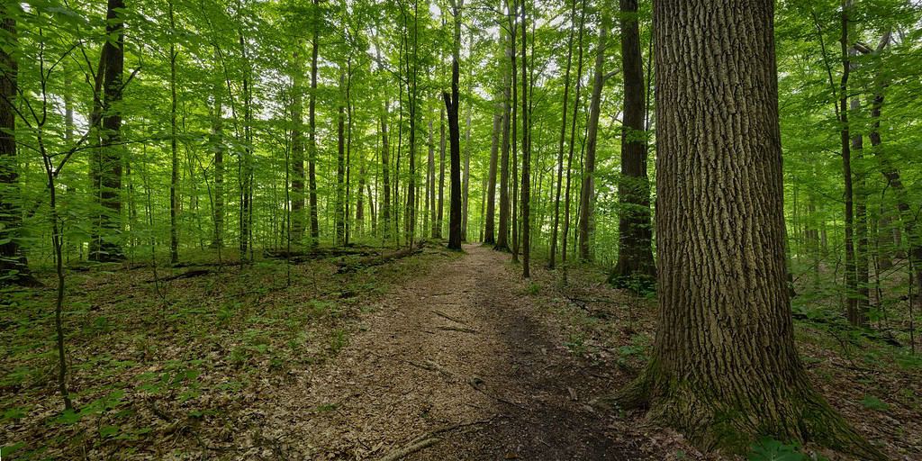 Discover 10 of Indiana's Most Beautiful and Iconic Hiking Trails