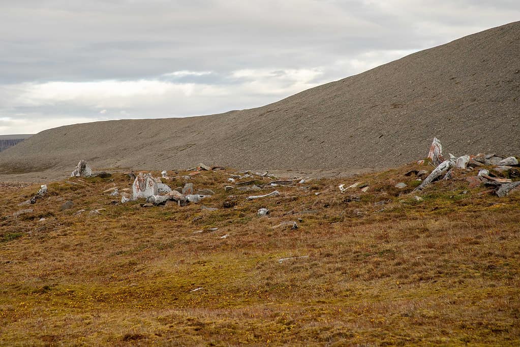 Discover Canada's Incredible Mars-Like Devon Island