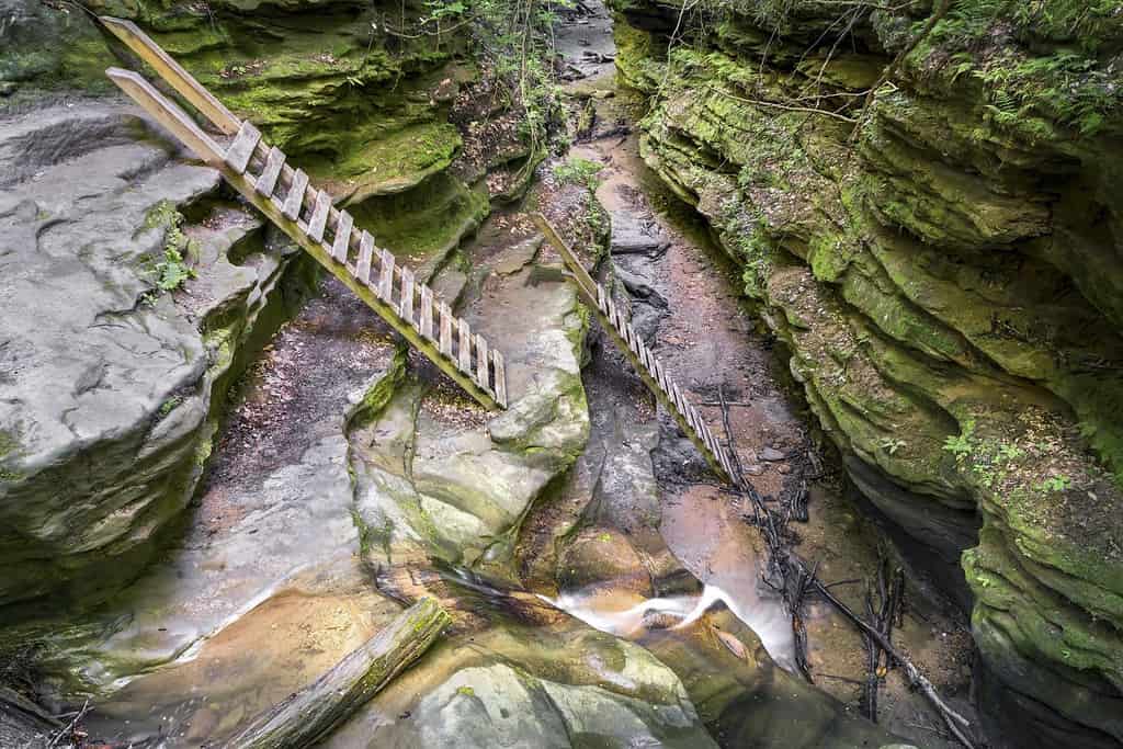 Discover 10 of Indiana's Most Beautiful and Iconic Hiking Trails