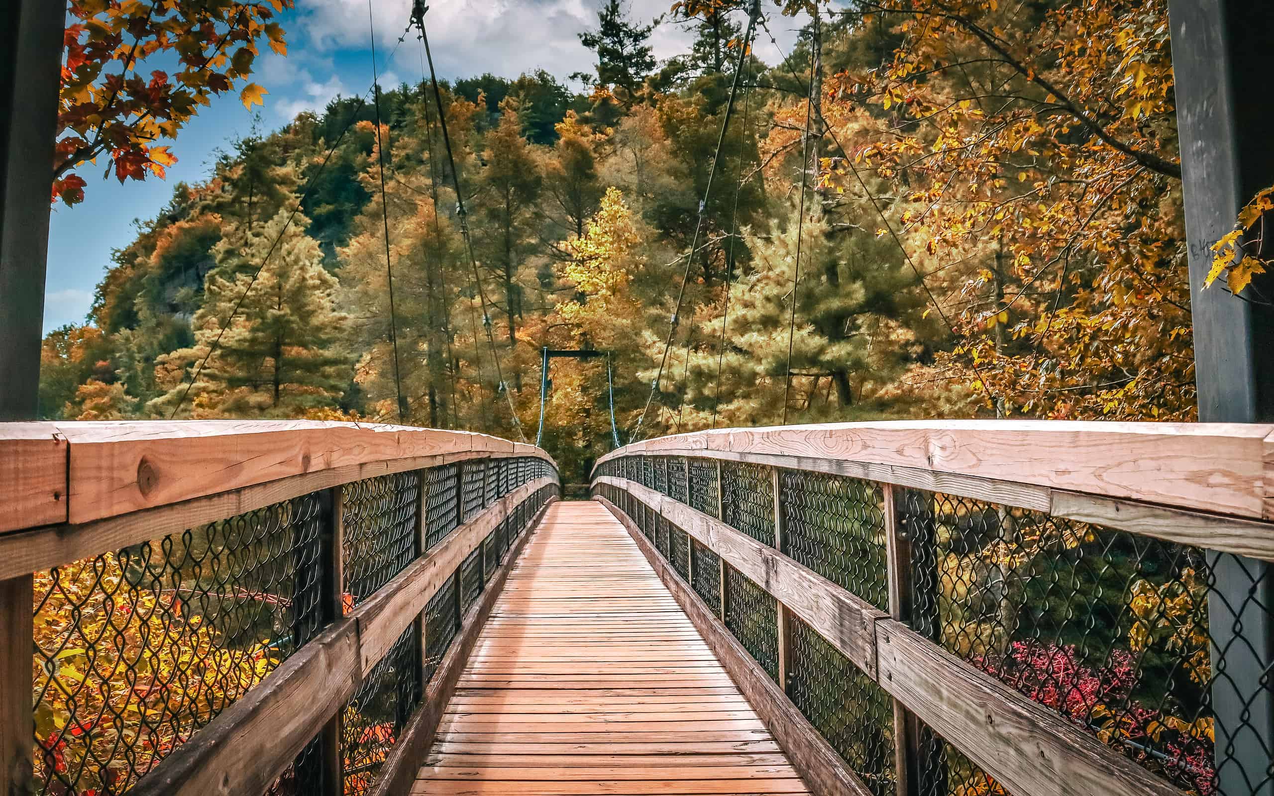 The 5 Highest Bridges in Georgia Are Towering Mammoths