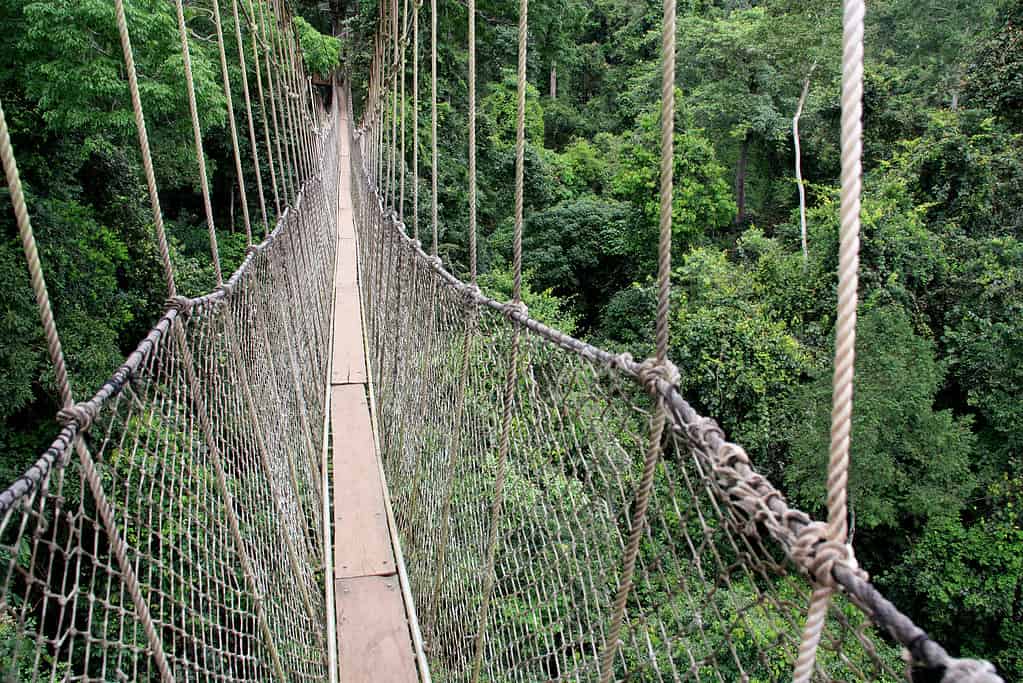 The Top 13 Most Dangerous Bridges in the World Are Not for the Faint of Heart