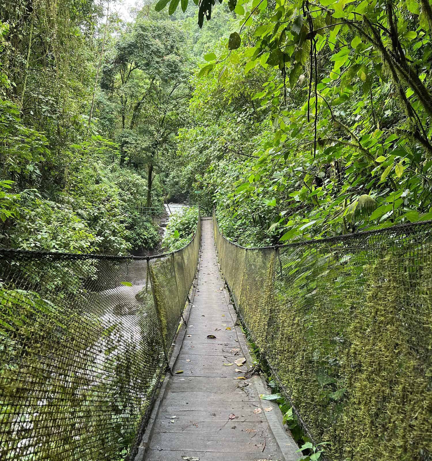 The Top 13 Most Dangerous Bridges in the World Are Not for the Faint of Heart