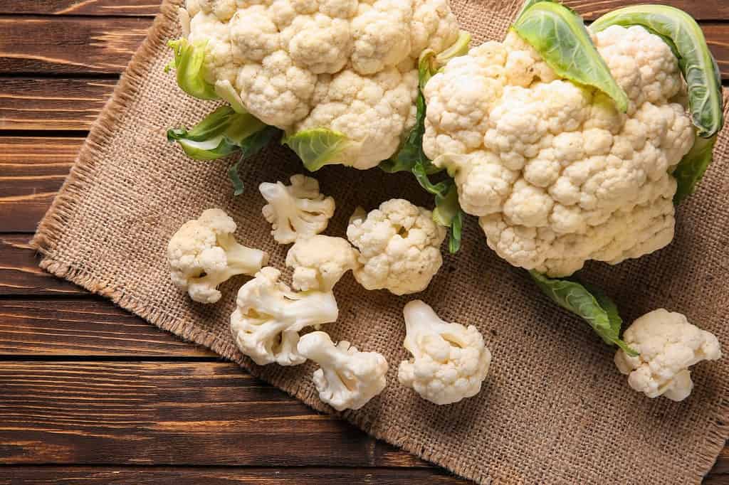 Yes, Rabbits Can Eat Cauliflower! But Follow These 5 Tips