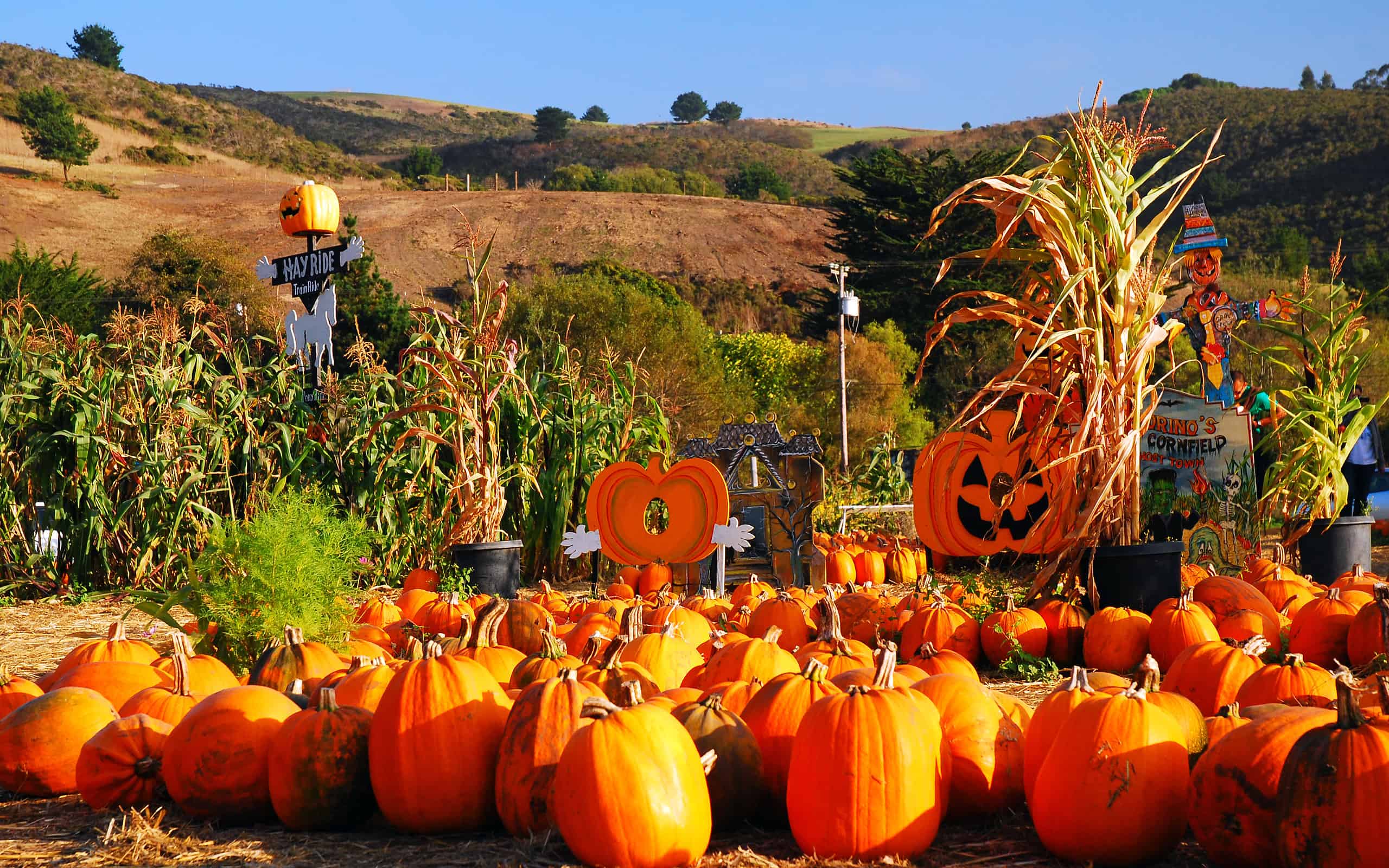 22 Countries that Celebrate Halloween in 2024