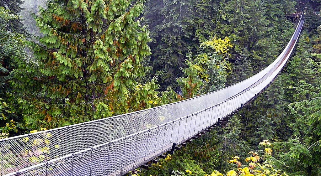 The Top 13 Most Dangerous Bridges in the World Are Not for the Faint of Heart