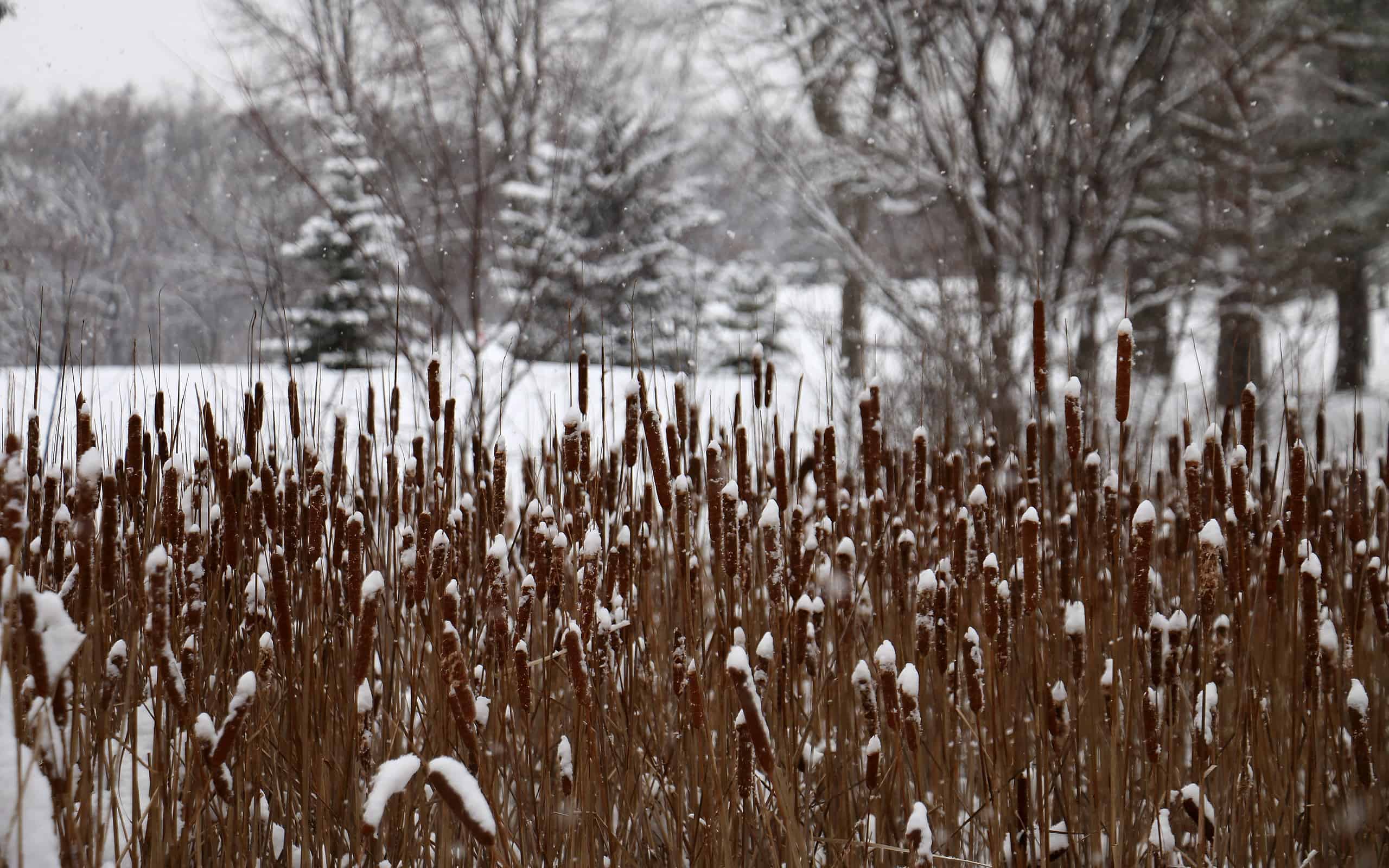 The 13 Best Places to Go Sledding in the United States