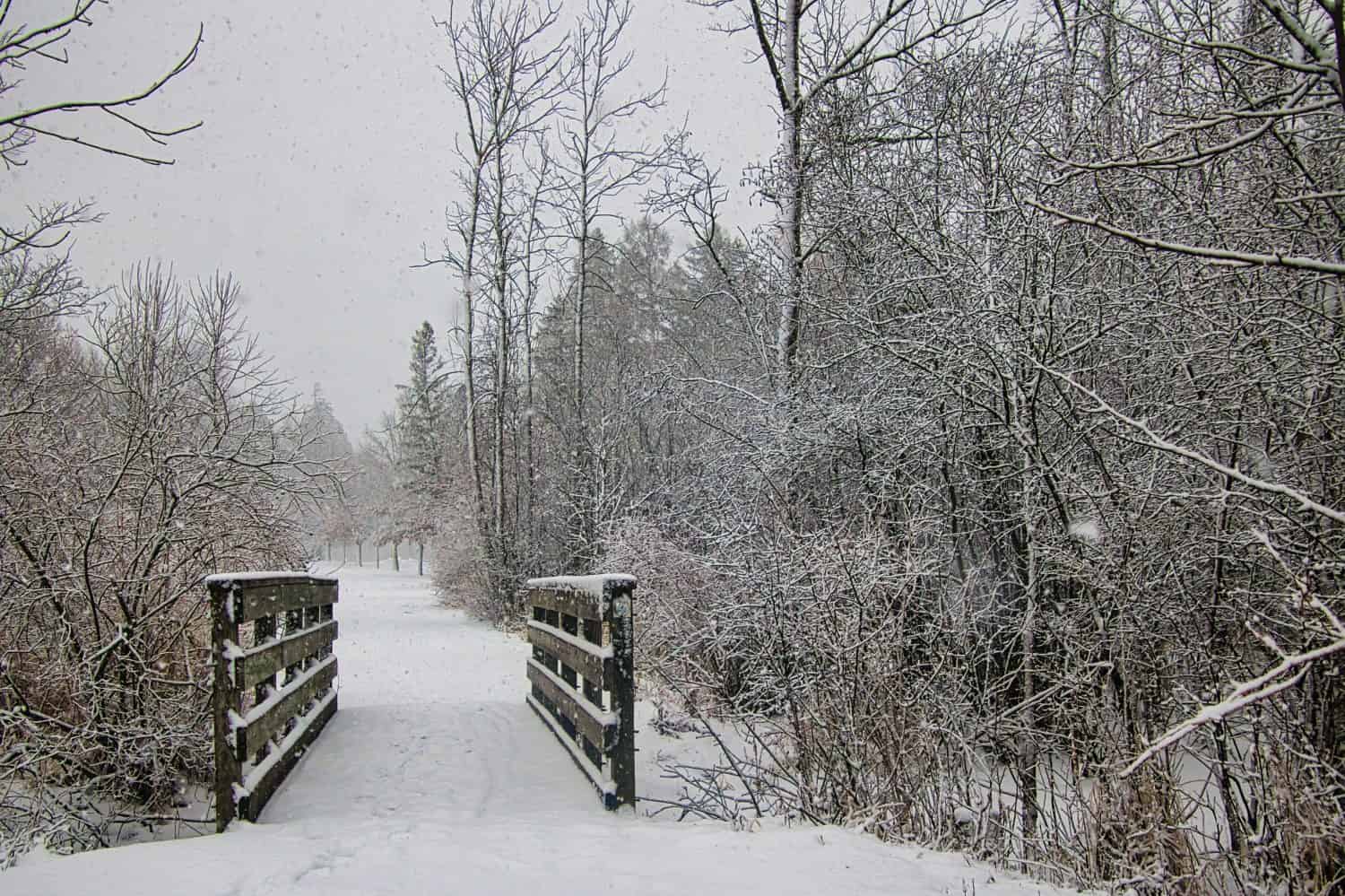 The 13 Best Places to Go Sledding in the United States