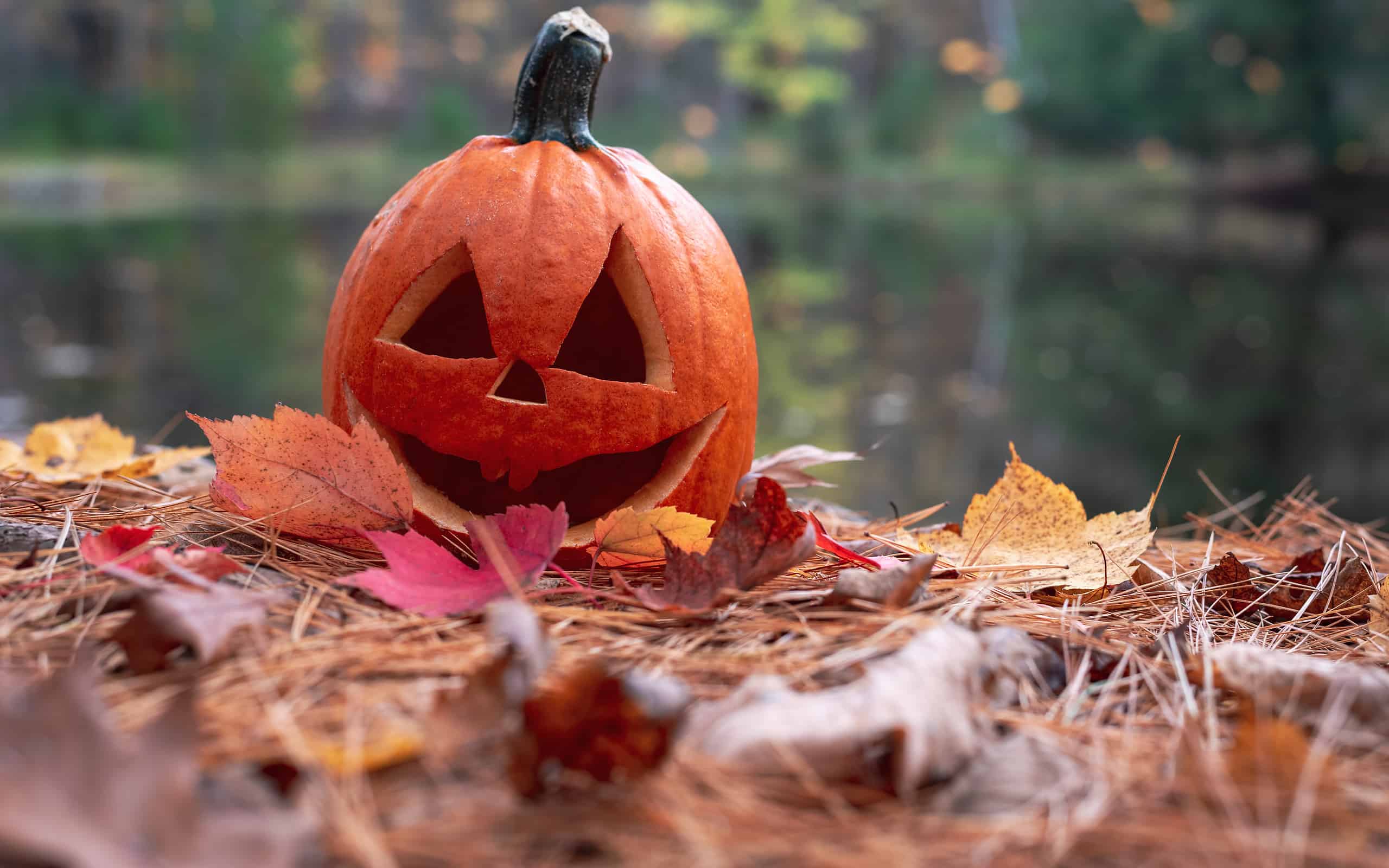 22 Countries that Celebrate Halloween in 2024